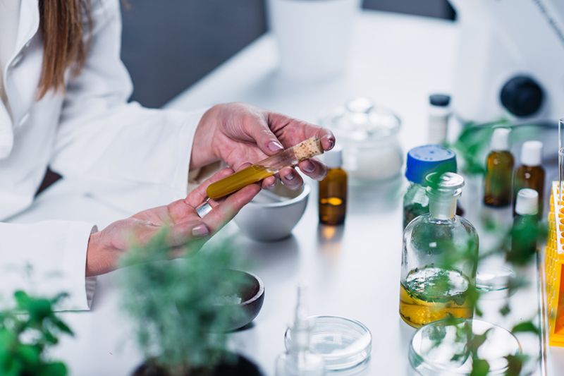 Pflanzliche Medizin im Reagenzglas